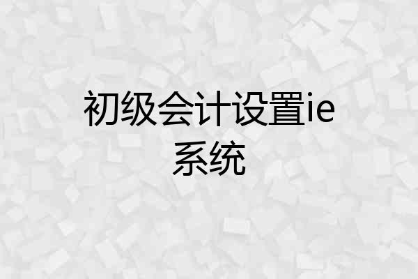 初级会计设置ie系统