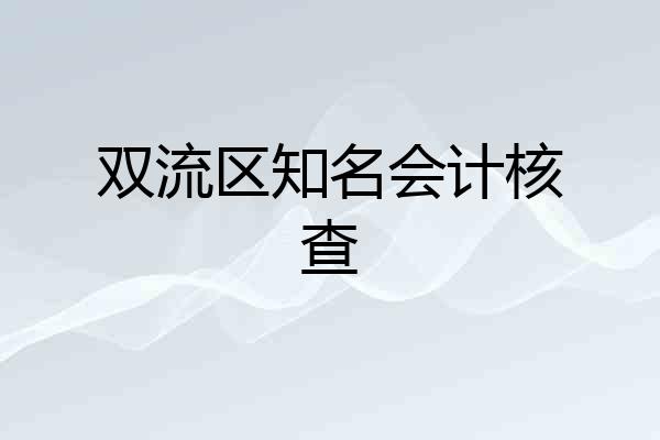 双流区知名会计核查