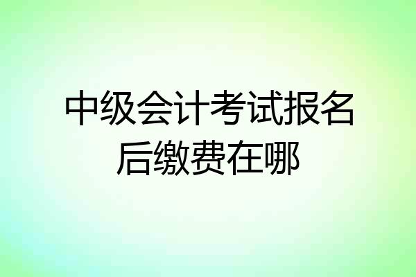 中级会计考试报名后缴费在哪
