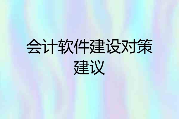 会计软件建设对策建议