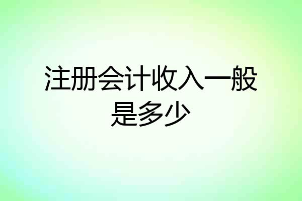 注册会计收入一般是多少