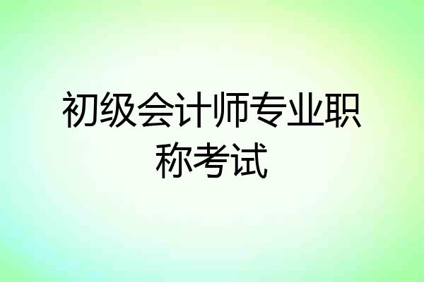 初级会计师专业职称考试
