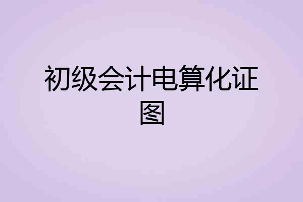 初级会计电算化证图