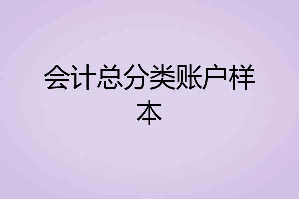会计总分类账户样本