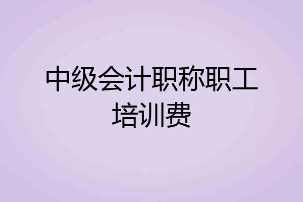 中级会计职称职工培训费