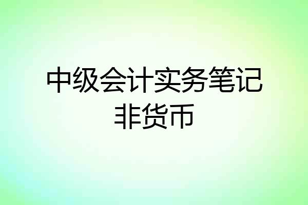 中级会计实务笔记非货币