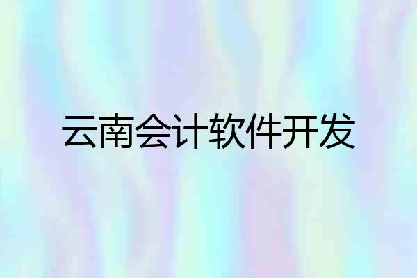 云南会计软件开发