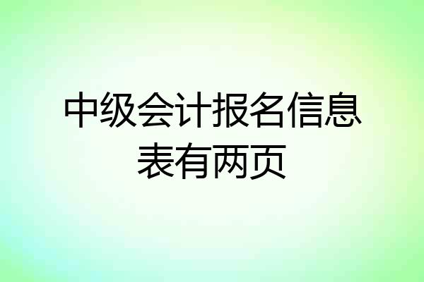中级会计报名信息表有两页