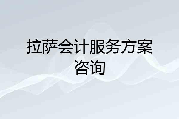 拉萨会计服务方案咨询