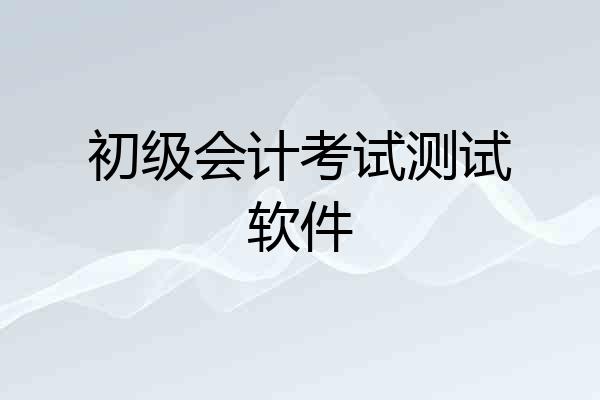 初级会计考试测试软件