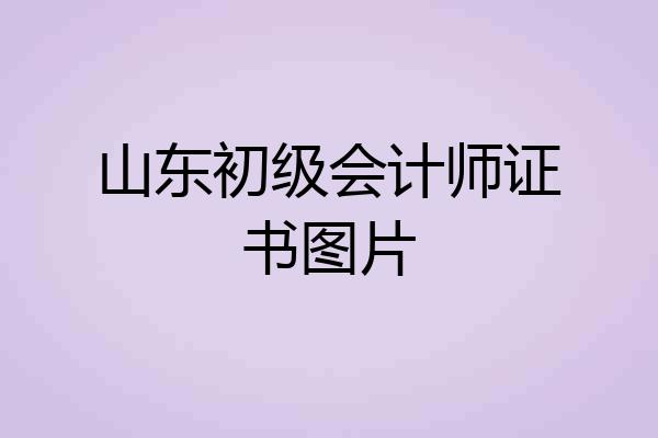 山东初级会计师证书图片