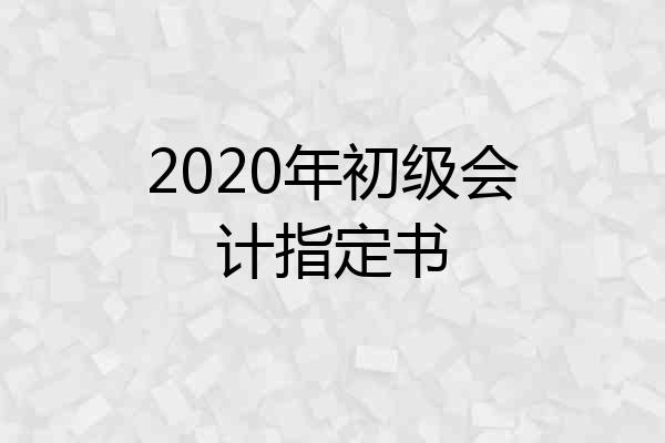 2020年初级会计指定书