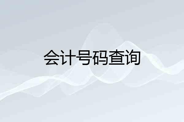会计号码查询