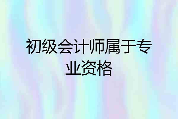 初级会计师属于专业资格
