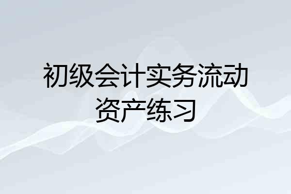 初级会计实务流动资产练习