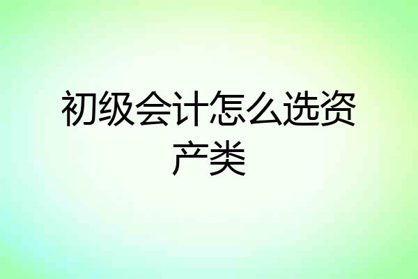 初级会计怎么选资产类
