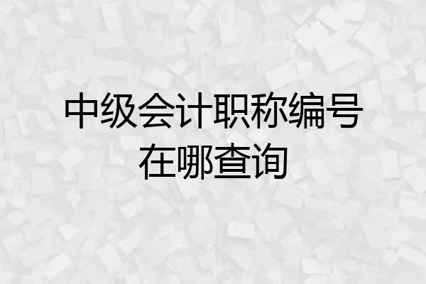 中级会计职称编号在哪查询