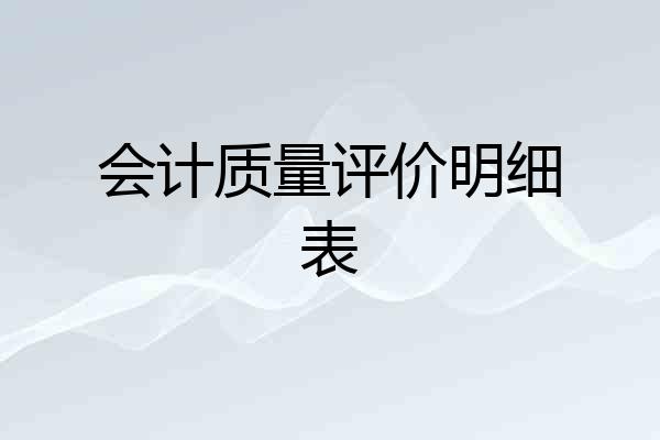 会计质量评价明细表