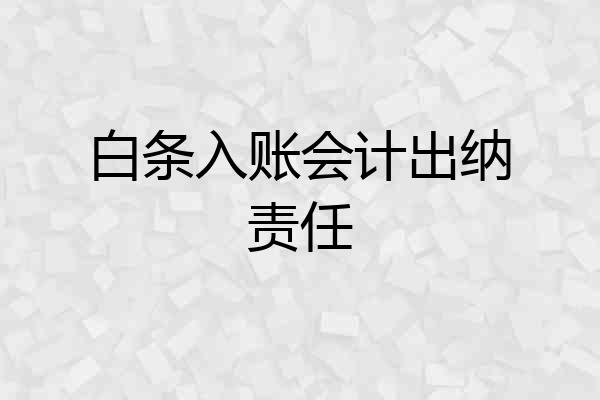 白条入账会计出纳责任