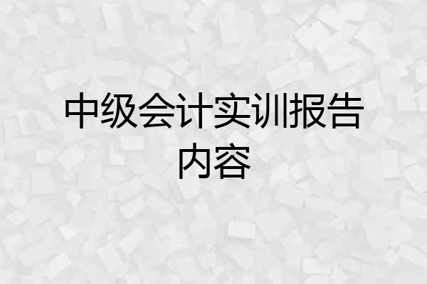 中级会计实训报告内容