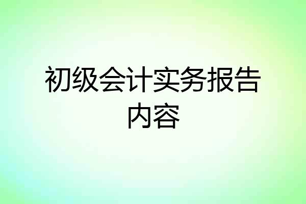 初级会计实务报告内容