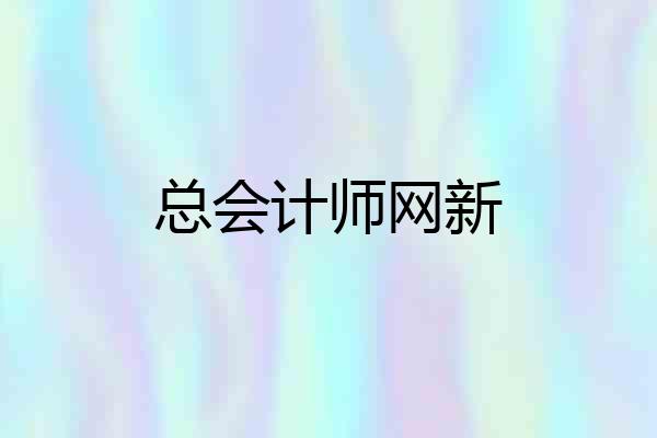 总会计师网新