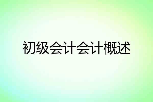 初级会计会计概述
