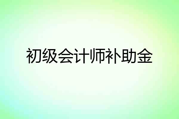 初级会计师补助金