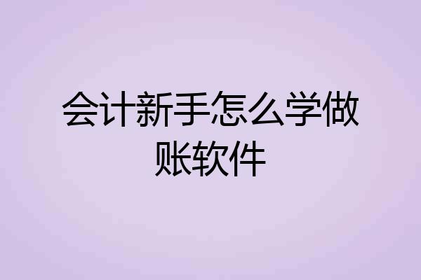 会计新手怎么学做账软件