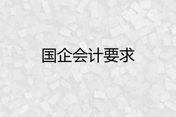 国企会计要求