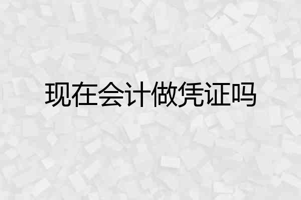现在会计做凭证吗