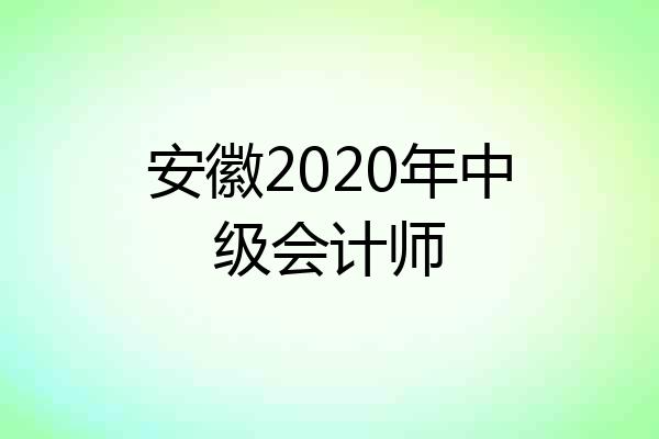 安徽2020年中级会计师