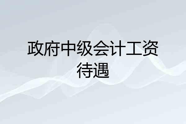 政府中级会计工资待遇