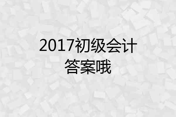 2017初级会计答案哦