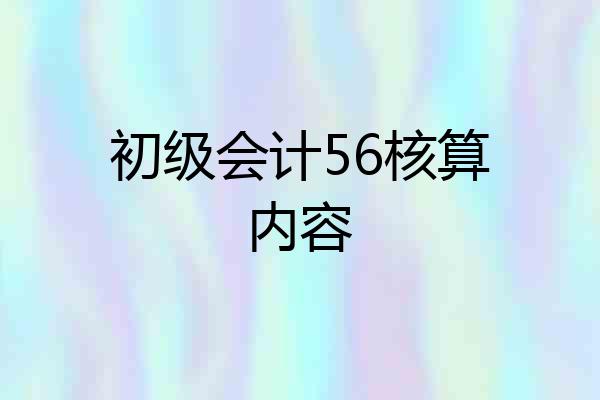 初级会计56核算内容
