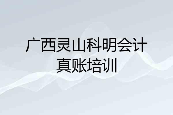 广西灵山科明会计真账培训