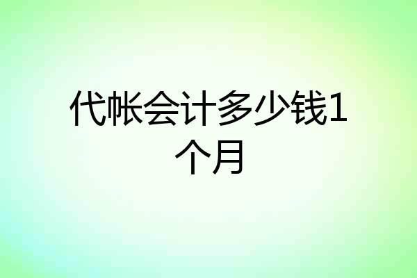 代帐会计多少钱1个月