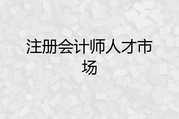 注册会计师人才市场