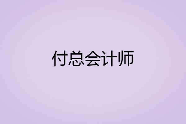 付总会计师