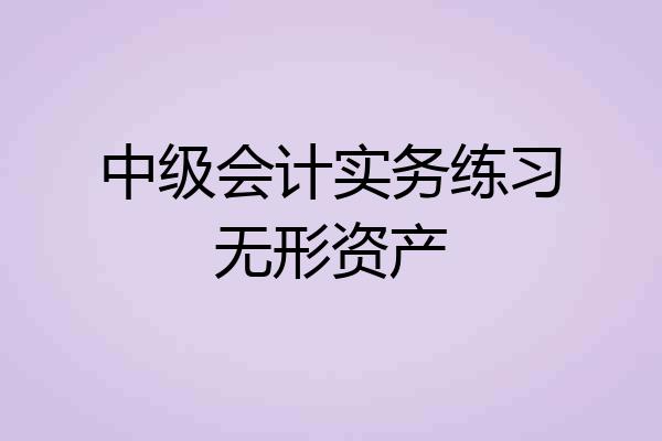 中级会计实务练习无形资产