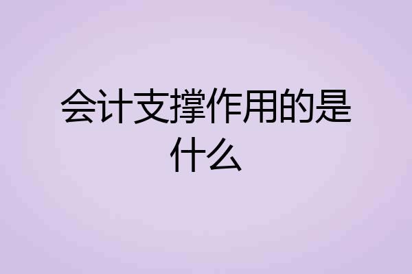 会计支撑作用的是什么