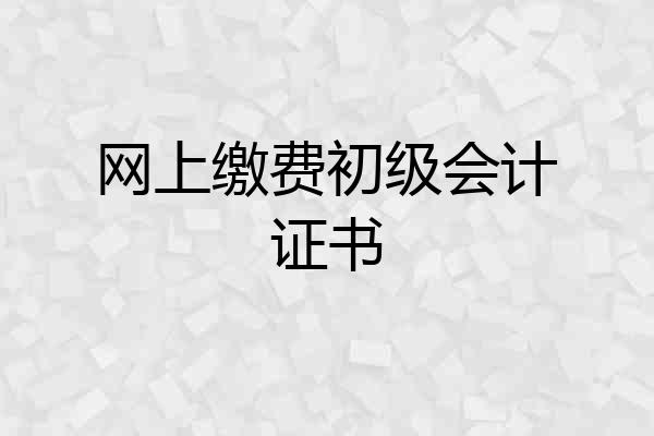 网上缴费初级会计证书
