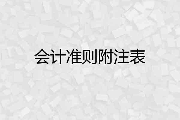 会计准则附注表