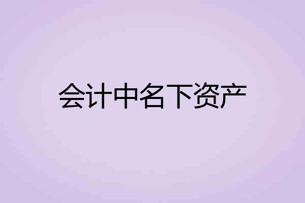 会计中名下资产