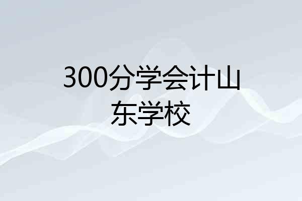 300分学会计山东学校