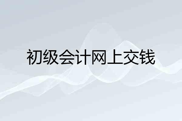 初级会计网上交钱