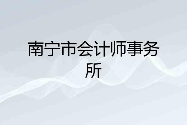 南宁市会计师事务所
