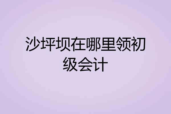 沙坪坝在哪里领初级会计