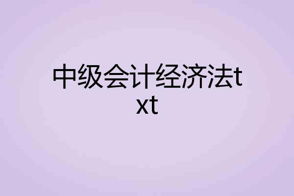 中级会计经济法txt