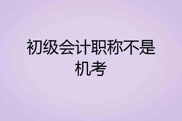 初级会计职称不是机考